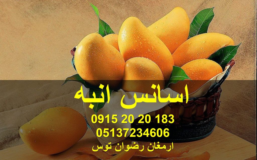 اسانس انبه فروش اسانس انبه پودری به صورت مایع و پودری با رایحه بسیار قوی در دو مدل اروپایی و ترک در پک های یک کیلویی و کارتنی 09152020183