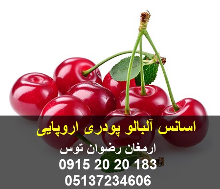 اسانس آلبالو پودری اروپایی