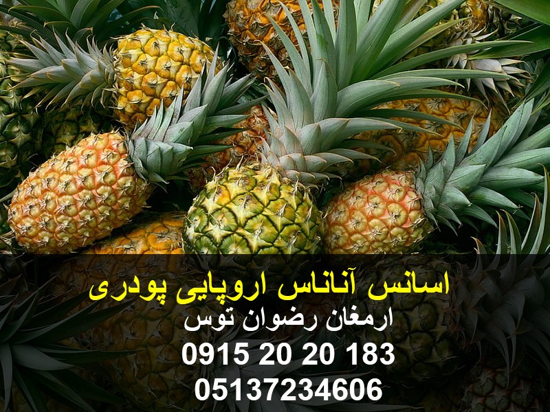 اسانس آناناس اروپایی پودری
