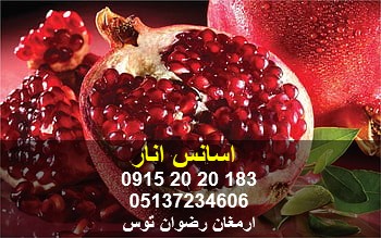 اسانس انار واردات و فروش اسانس انار اروپایی با کیفیت بسیار بالا و نیز درجه احساس ترشی یا طعم گس بودن مطلوب 09152020183 و 05137234606