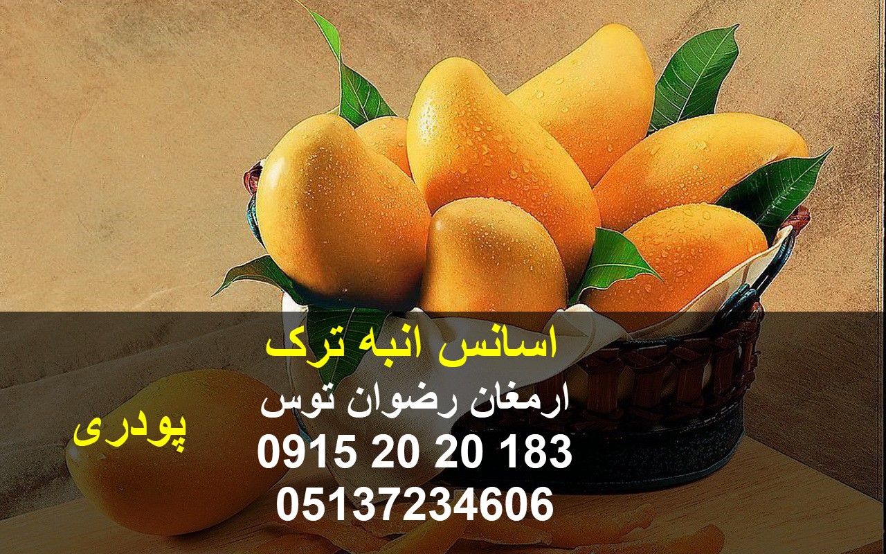 اسانس انبه ترک پودری جهت مصارف پودر ژله یا نوشیدنی و ... مورد تایید بیش از 90 درصد 09152020183 و 05137234606 تماس حاصل فرمایید .